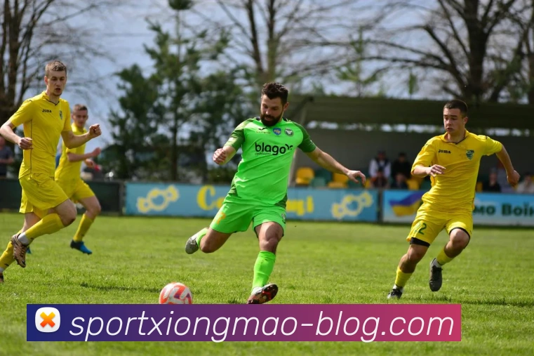 App Interface Preview